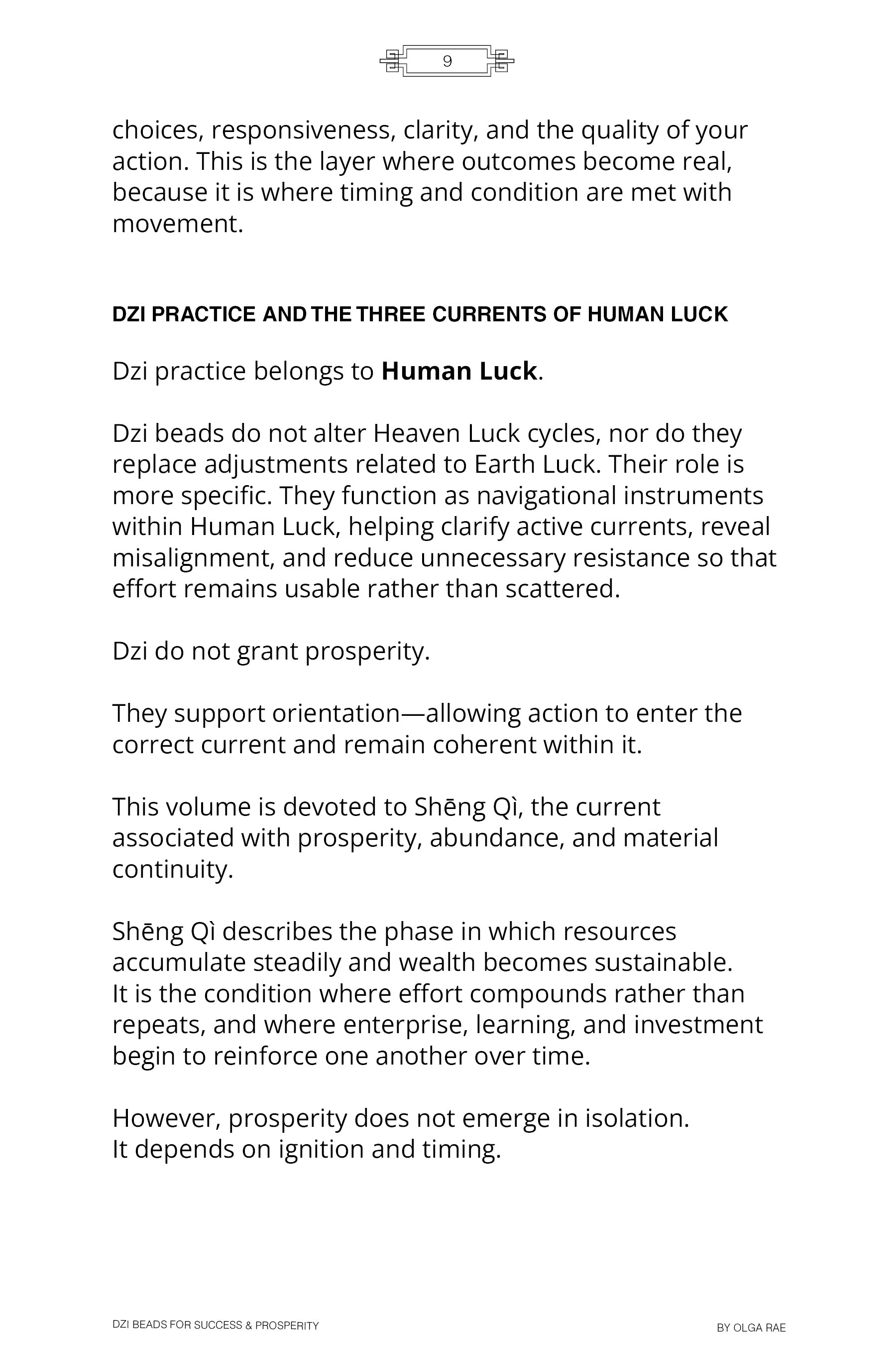 DZI BEADS FOR SUCCESS & PROSPERITY (Paperback)