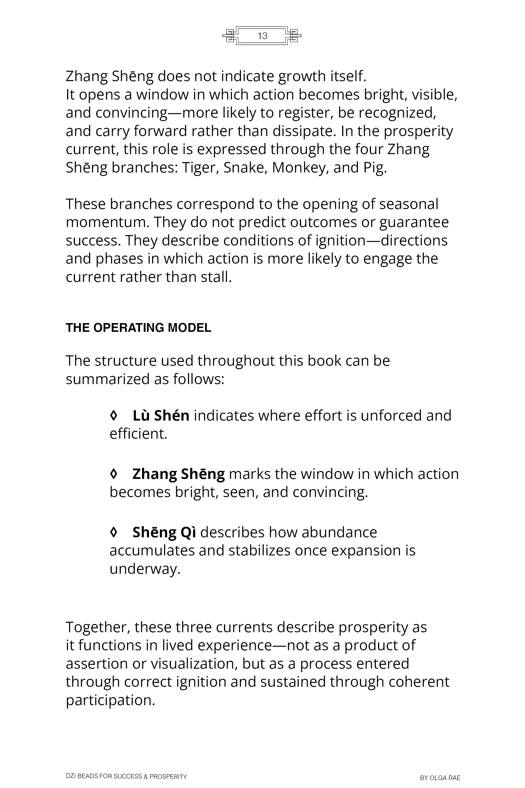 DZI BEADS FOR SUCCESS & PROSPERITY (Paperback)