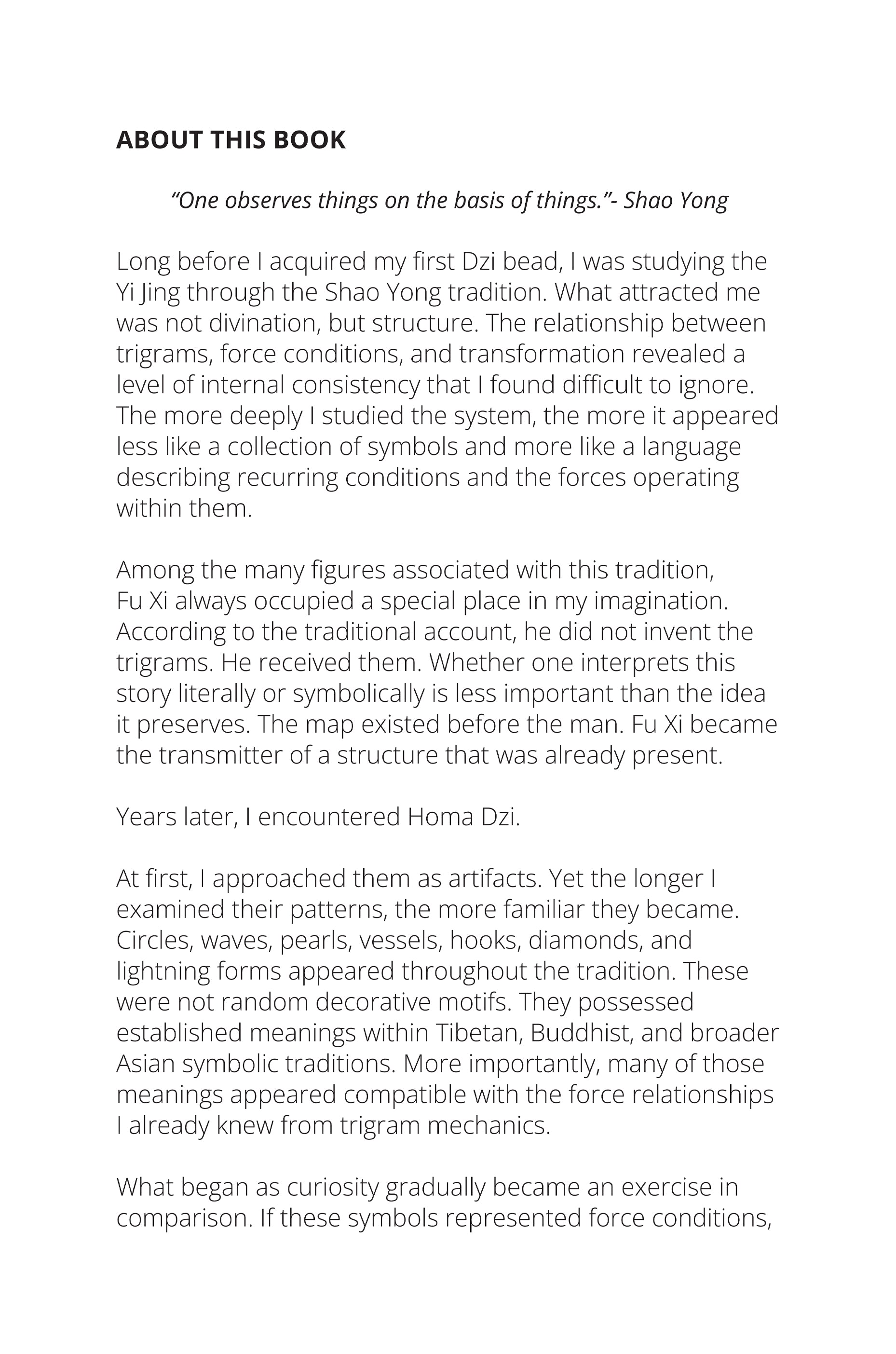 Homa Dzi: A Language of Force & State